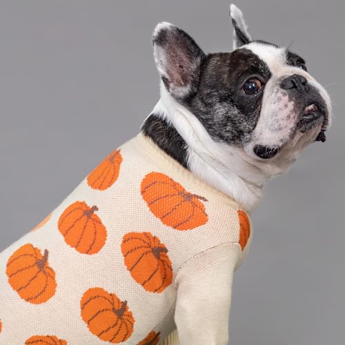 Image of Fitwarm Pumpkin Dog Sweater, Thanksgiving Outfit for Small Dogs Boy Girl, Pet Outfit, Orange, Beige, XL