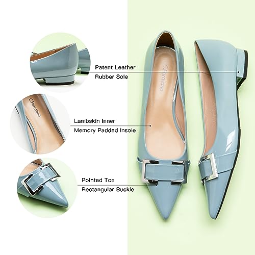 Image of C.Paravano Women Flats | Pointed Toe Shoes | Ballet Flats | Work Daily Wear