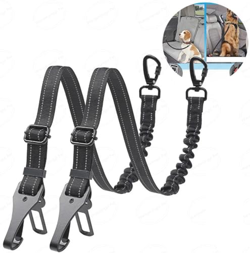 vehicle harnesses for dogs