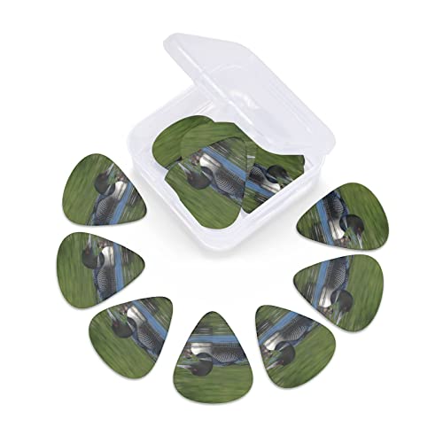 Pack de 12 médiators Loon Nature Bird médiators pour guitare électrique guitare acoustique diverses guitares - Les Beatles, Paul McCartney, John Lennon, RIngo Starr, George Harrison Pack de 12 médiators Loon Nature Bird médiators pour guitare électrique guitare acoustique diverses guitares – Image 6