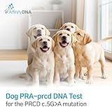 AffinityDNA Dog PRA-prcd DNA Test | Home Sample Collection Kit for 1 Canine | Puppy Progressive Retinal Atrophy Test Kits | Results in 7 Working Days | A Complete Kit With No Extra Fees - Image 2