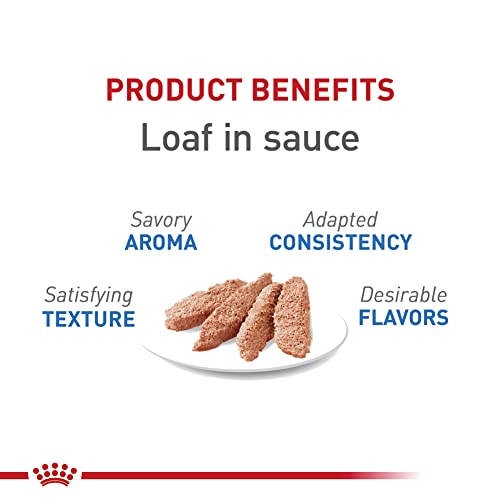 Royal Canin Feline Care Nutrition Weight Care Adult Loaf in Sauce Cat Food, 3 oz (Pack of 24)