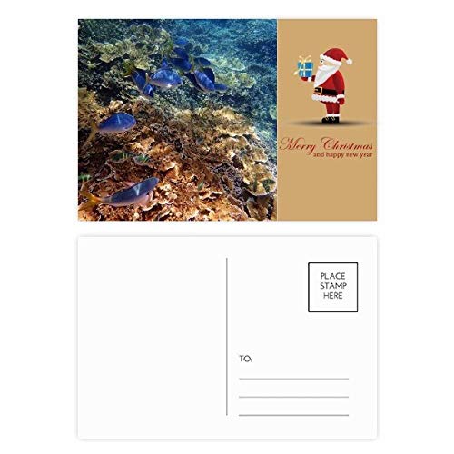 Cartes postales poissons colorés Ocean pour vos souvenirs de vacances d'été