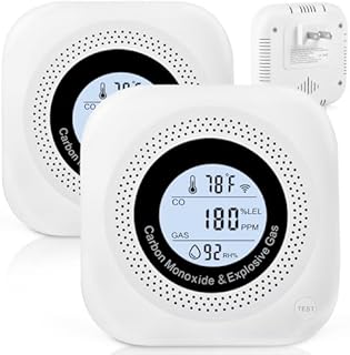Carbon Monoxide Detectors, 2Pack 4-in-1 Natural Gas Leak Detector, Portable Carbon Monoxide Detector, Plug in Wall with AC Socket and Temperature & Humidity Monitoring for RV, Home, Hotel (White)