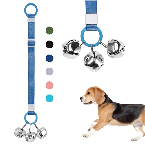 SVD.PET phAx ݂艺Ot gCg[jÔ߂ɊOɏo錢̃x hAmuhA̋߂̂ǂɂłt\ ߉\ qp̑傫ȃWOx (lCr[u[)