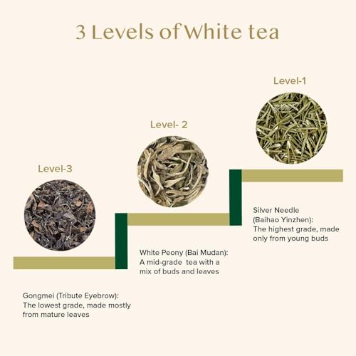 Image of VAHDAM, Silver Pine Needle White Tea Loose Leaf 50g | Caffeine Free, Gluten Free | Pure Unblended Loose Leaf Tea | Vacuum Sealed | Brew As Hot, Iced Or Kombucha Tea