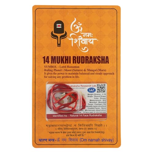 Image of 14 Mukhi Rudraksha Bead | Natural Rudraksh | Sacred Prayer Bead for Japa, Meditation & Puja Use