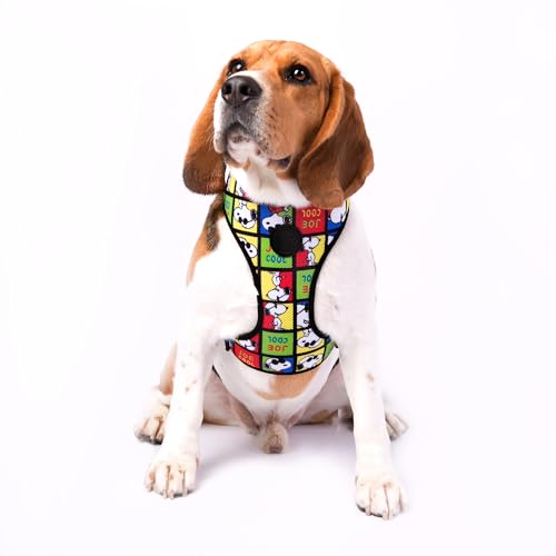 Peitoral Snoopy Joe Cool Tamanho:M