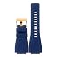 Blue + Gold Buckle