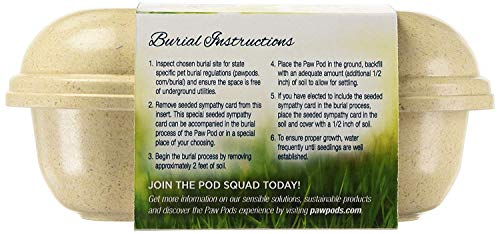 Paw Pods Biodegradable Pet Casket, Medium Pod