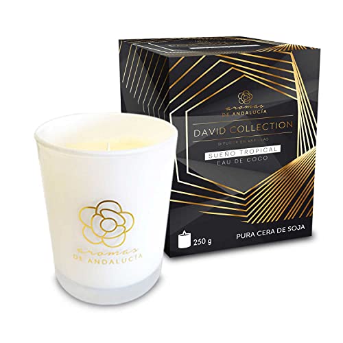 Vela Aromática David Collection "Sueño Tropical" (250 g.) Cover