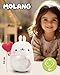 Imagen de NICI peluche MOLANG con globo en forma de corazón 24cm en caja de regalo blanco