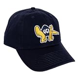 Desert Cactus University of California Irvine Embroidered Baseball Hat (B)