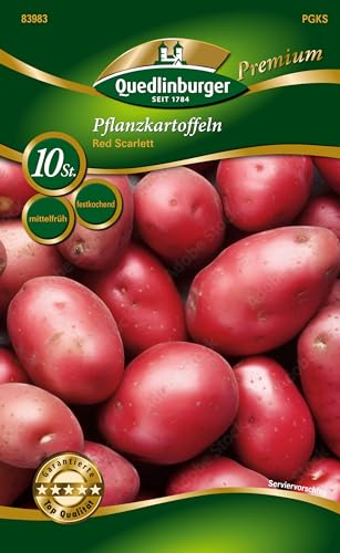 Red Scarlett Pflanzkartoffeln Quedlinburger (10 Stück) rot Kartoffeln