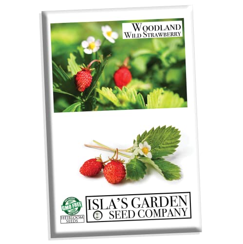 Strawberry Seeds, Woodland Wild Strawberry Fruit/Plant Seeds, 50 Strawberry Seeds