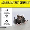The Big Cheese Mouse Out Peppermint Granules – 350g Non-Toxic Rat & Mouse Deterrent | Poison-Free Rodent Repellent | Safe for Food Storage Areas