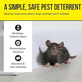 The Big Cheese Mouse Out Peppermint Granules – 350g Non-Toxic Rat & Mouse Deterrent | Poison-Free Rodent Repellent | Safe for Food Storage Areas