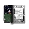 Western Digital 6TB Ultrastar DC HC310 7200 RPM SATA 6.0Gb/s 3.5″ Data Center Disco duro interno Modelo 0B36039 (renovado)