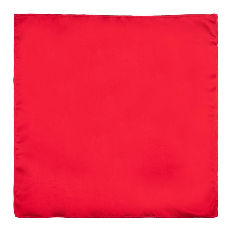 the tie hub Solid Red Pocket Square For Men-picture-25