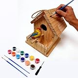 DIY Bird House Craft Kit, 12 Colors Paintbrushes Painting Kits & Screwdriver Included, Weather Resistant Bird Houses for Outside with Feeding Tray (Wood Color, 1pcs)