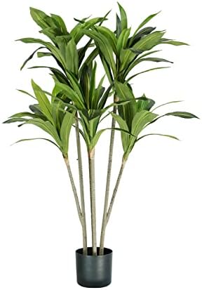 Plante Dracaena H. 130 cm 88 Feuilles