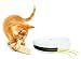 PetSafe Flik Pet Toy