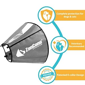 ZenPet Pet Recovery Cone E-Collar for Dogs and Cats – Always Use with Your Pet’s Everyday Collar – Comfortable Soft Collar is Adjustable for a Secure and Custom Fit (Large)