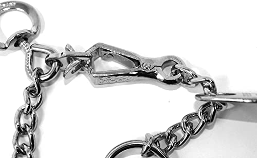 Collier d'éducation à pointes taille S et boucle de décrochage - 8