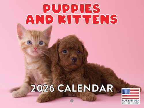Puppies and Kittens Calendar 2026 Puppy Kitten Kitty Monthly Wall Calender 12 Month | American Made In The USA