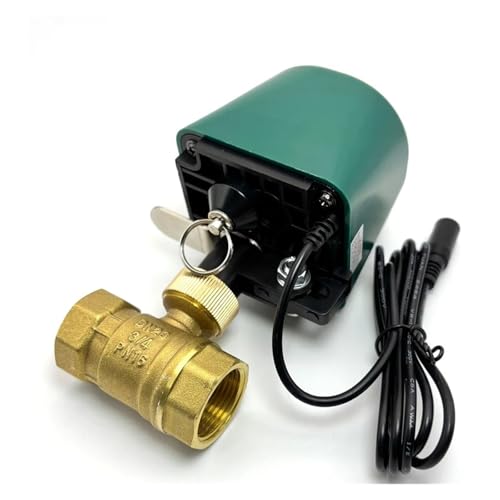 Contrôleur de valve d'eau intelligent Wifi DN20 pour éviter les fuites avec arrêt automatique