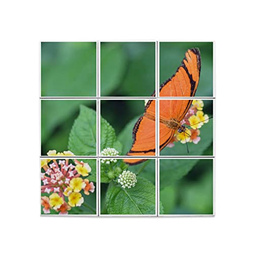 Carreaux céramique papillon orange 60x60 cm pour fresque murale