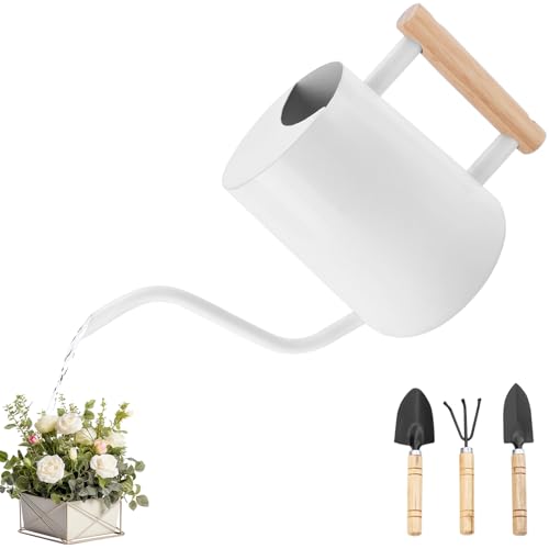JOTOL Regadera Pequeña de 1L,Regadera Plantas Acero Inoxidable con Pequeñas Herramientas de Jardinería,Caño Largo,Mini Regadera para Plantas de Interior y Suculentas