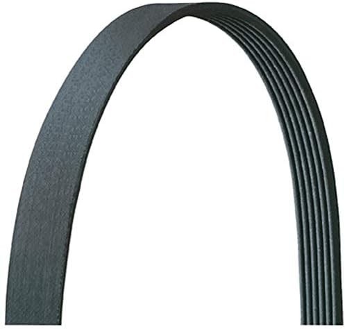 Dayco 6PVK1075 Serpentine Belt