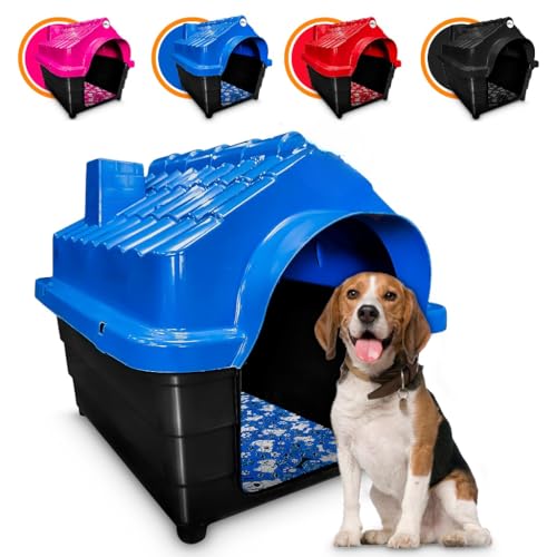 Casa Casinha Plastica Cachorro Numero 5 + Colchao (Com Colchão)