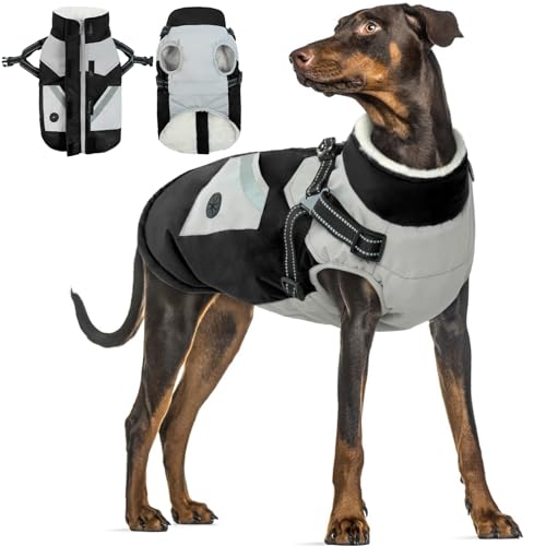 Dog Coat with built in Harness