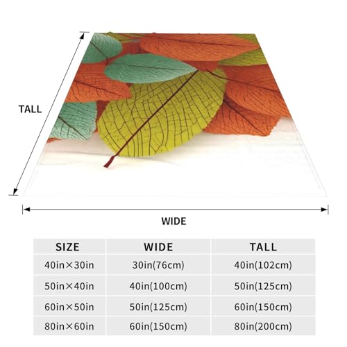 Couverture en flanelle de microfibre légère et douce pour toutes les saisons