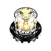 Abrams SAE Class-1 Blaster 360 (Amber/Amber) 18W - 6 LED Tow Truck Construction Vehicle LED Hideaway Surface Mount Strobe Warning Light