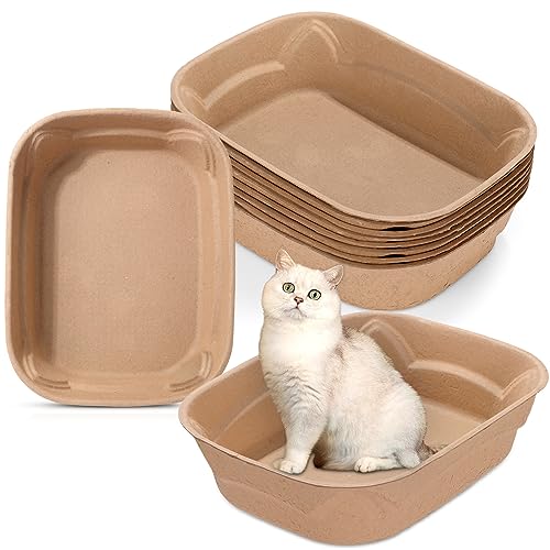 Cat Paper Litter The 15 best products compared Wild Explained