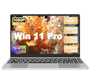 NOTODD 2025 Laptop 14 Zoll Win 11 Pro 6GB RAM 256GB SSD Unterstützung 1TB (TF 1TB) Notebook Celeron N4020 (bis2.8GHz) 5000mAh 1920x1080p WiFi Deutscher Tastaturschutz und kabellose Maus-Silver