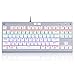 Price comparison product image Z-77 Tenkeyless Mechanical Gaming Keyboard : E-Yooso Rainbow LED Backlit,Tactile and Clicky Outemu Blue Switches, Metal Plate Compact Design, White (US-Layout)