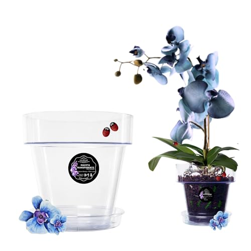 LiveLaif - Maceta orquidea Transparente Redonda Ø12 cm + Plato | Maceta Transparente orquidea | Agujeros Drenaje, Efecto Vidrio | Maceta para orquídeas | Hecha en España-Modelos a Elegir