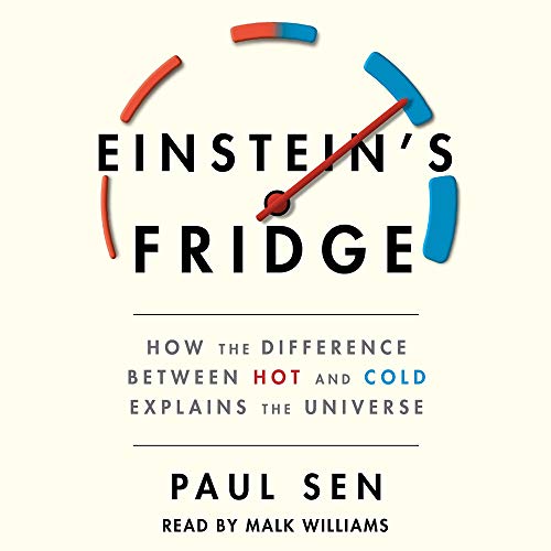 Cover art for Einstein's Fridge
