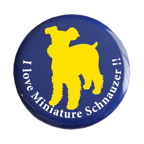 ~j`AEViEU[ʃobWyybg  킢 v[gz (E)