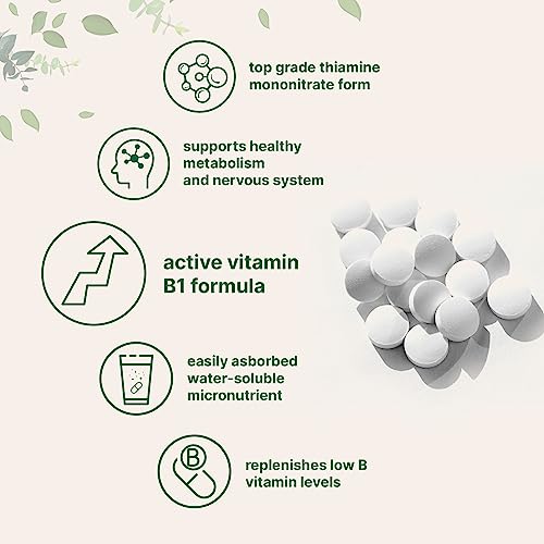 Micro Ingredients Vitamin B1 500Mg Per Serving, 240 Tablets | Vitamin B1 Thiamine Supplement, Essential B Vitamins | Supports Metabolism & Healthy Nervous System | Non-Gmo, Easy To Swallow #TOP2