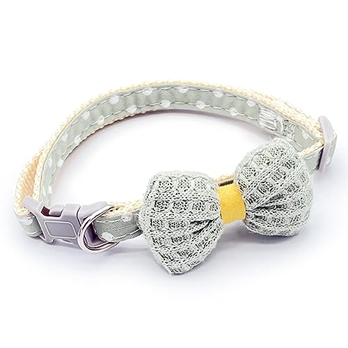 bt { lR  O[  L Lp Lp L qL ~ L  킢 VV { S y ˂ L̎