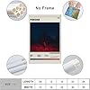 Sheozho Phoebe Bridgers Punisher Album Vintage Poster Music Posters for Room Aesthetic Canvas Wall Art Bedroom Decor12x18inch(30x45cm) #2
