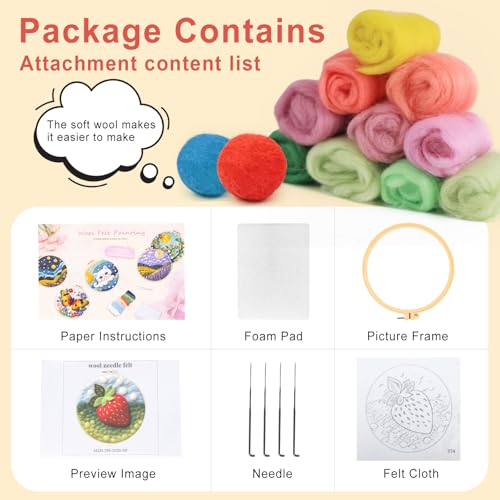 Image of Hlison Strawberries Needle Felting Kit with Vedio Tutorial, Beginner Felting Needle Includes Wool Bag, Felting Needles, Foam Pad, Felt Cloth, Instructions