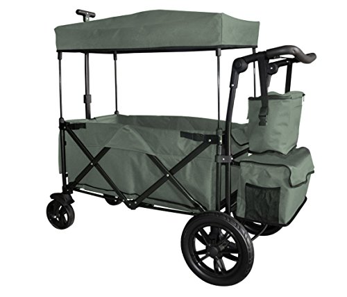 Grey Push and Pull Handle with Rear Foot Brake Outdoor Sport Collapsible Folding