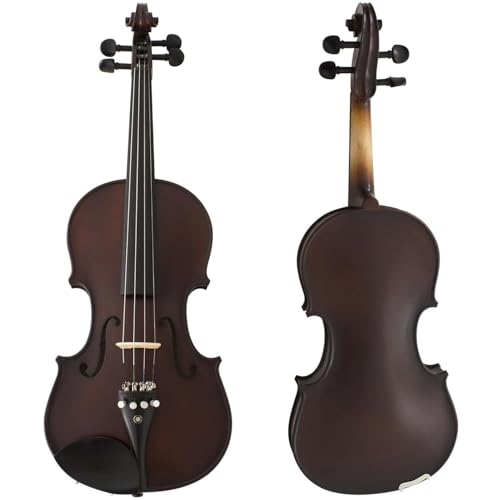Full Size Violin, Full Size with Strings and Rosin, Full Size Violin for Beginners (4/4 Full Size)