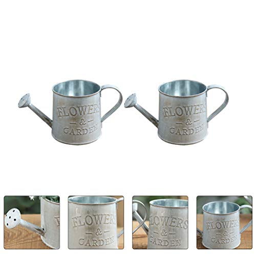 Yardwe Vaso de Flores de Metal Vintage Gasto Chique Regador Vaso Jarro Jarro de Flores Rústico Titul
